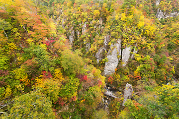 Image showing Naruko canyon in Japan