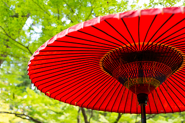 Image showing Paper umbrella in park