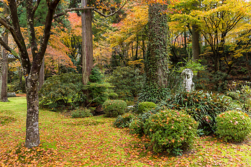 Image showing Autumn park 