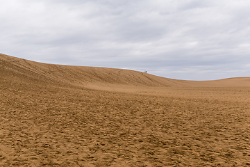 Image showing Tottori Dunes
