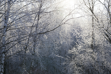 Image showing Beautiful landscape