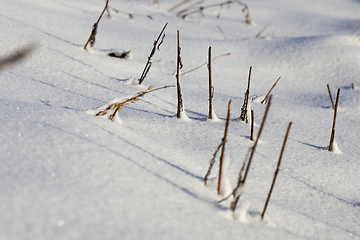 Image showing Winter time