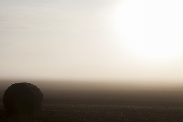 Image showing autumn morning