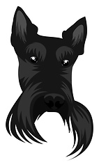 Image showing Scotish Terrier illustration vector on white background