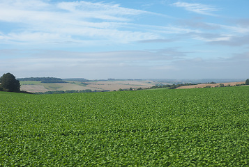 Image showing English country panorama in Salisbury