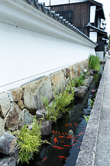 Image showing Japanese Garden and river canal of Koi fish