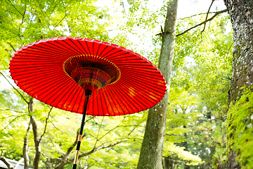 Image showing Japanese red umbrella