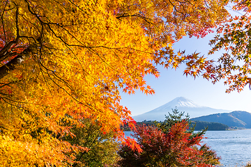 Image showing Mount Fuji at Autumn