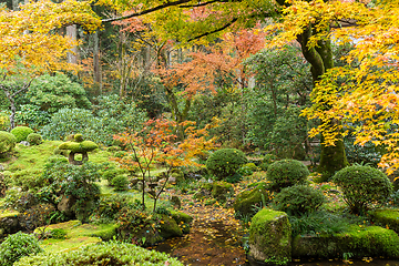 Image showing Autumn landscape