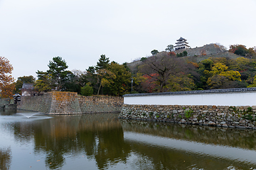 Image showing Marugame Castle in Japan at autumn