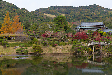 Image showing Autumn garden in Japan