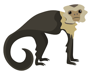 Image showing Drawing of a brown capuchin monkey set on isolated white backgro