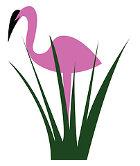 Image showing Flamingo bird standing behind the bush vector or color illustrat