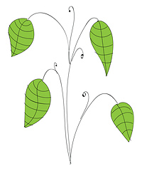 Image showing Cartoon big leafe plant vector illustration on white background