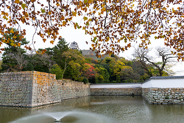 Image showing Marugame Castle in Autumn