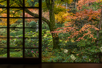 Image showing Japanese window in autumn season