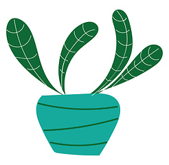 Image showing Green plant with white stripes in a turquoise pot with green str