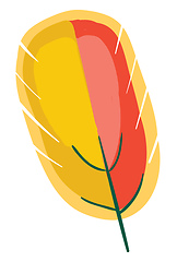 Image showing Oval shape colorful feather vector or color illustration