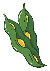 Image showing Open green beans vector illsutration on white background