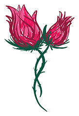 Image showing Two red rose vector or color illustration