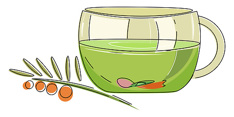 Image showing Herbal tea vector or color illustration