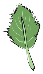 Image showing Clipart of an ovate green leaf with a margin and alternate venat
