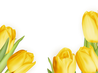 Image showing Yellow fresh tulips on white. EPS 10