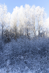 Image showing Winter landscape