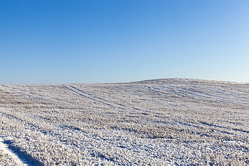 Image showing Snow drifts in winter