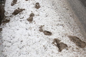 Image showing Traces on the snow