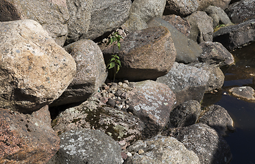 Image showing stones close-up