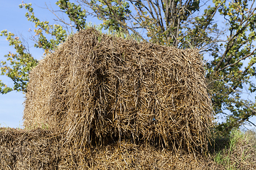 Image showing square stack of straw