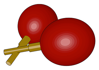 Image showing Tamaracas musical instrument vector or color illustration