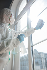 Image showing Coronavirus Pandemic. A disinfector in a protective suit and mask sprays disinfectants in the house or office