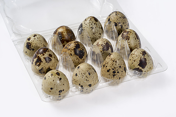 Image showing boxed quail eggs
