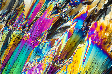 Image showing Trisodium citrate microcrystals