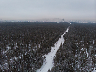 Image showing Aerial view of winter forest.