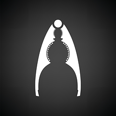 Image showing Nutcracker pliers icon