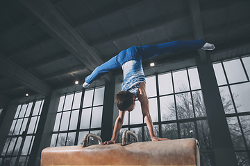 Image showing Little male gymnast training in gym, flexible and active. Caucasian fit little boy, athlete in sportswear practicing in exercises for strength, balance.