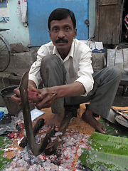 Image showing Man selling fish at a street market in Kolkata, West Bengal, India