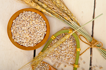 Image showing organic wheat grains