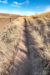 Image showing Grass Field in Fall, Palouse Falls State Park, WA