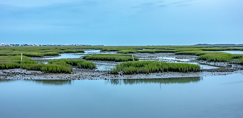 Image showing Views and scenes at murrells inlet south of myrtle beach south c