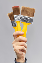 Image showing close up of builder's hand holding paint brushes