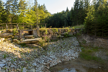 Image showing pond in the summer forest