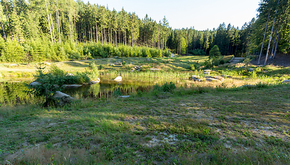 Image showing pond in the summer forest