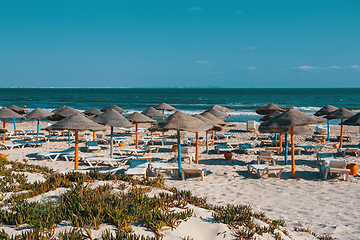 Image showing Beach umbrellas on sandy Tunis beach