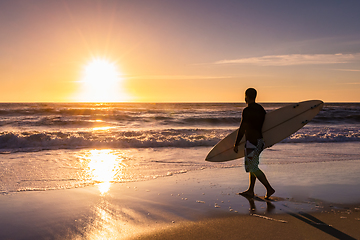 Image showing Surfer watching the waves