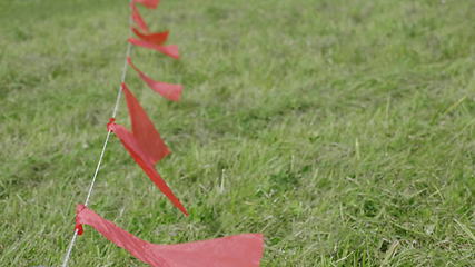 Image showing Red flags fluttering in the wind, against a background of green grass