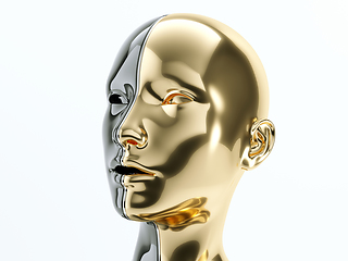 Image showing black and gold human head separated by line as symbol of balance